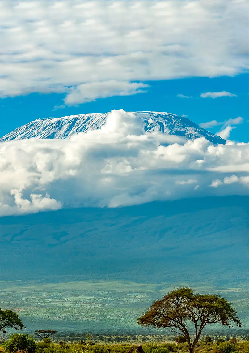 Umbwe Route Kilimanjaro climb