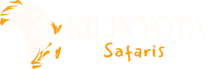 safari go